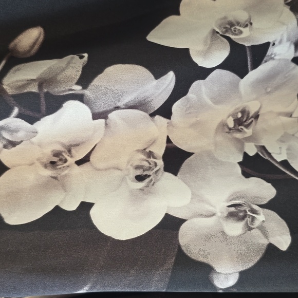 WORTHINGTON WOMENS LONG SLEEVE BLACK AND WHITE FLORAL BLOUSE SIZE PETITE LARGE - Picture 15 of 16